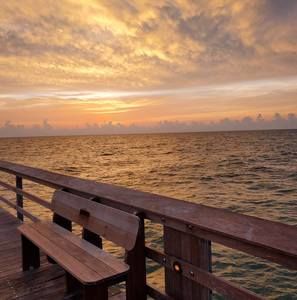 Meet your Posher, Robin